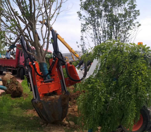 1753782324395701.jpg 1753782317735.jpg